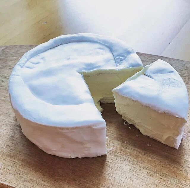 Brillat Savarin photo by William Kallenborn